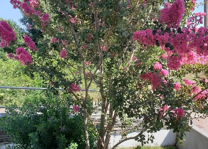 With Parking Space - 24058 Apartament Korčula